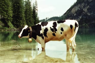 Cinestill 400D - beppe94