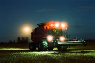 Cinestill 400D - woodfrom