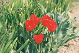 Fujifilm Fujicolor C200 - lonerider41life