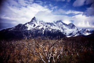 Fujifilm Provia 100F - coca