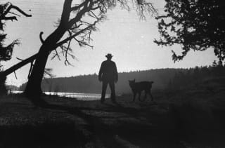 Ilford HP5 Plus - Akula