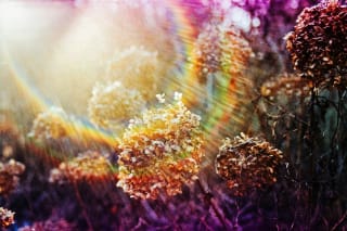 Kodak Ektachrome E100 - pearlgirl77