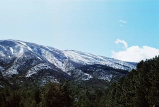 Kodak Kodacolor 100 - oli_2005