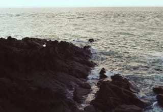 Kodak Portra 400 - 400grains