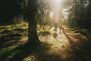 Kodak Pro Image 100 - aleatorius